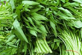 Memang kita akui bahwa kangkung ini memiliki keunikan tersendiri dibandingkan dengan jenis sayur lainnya. Di Indonesia Digemari Kangkung Justru Dianggap Gulma Di Amerika
