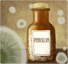 Image result for Penicillin