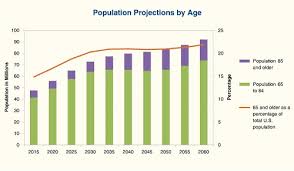 Aging In Place Facilitating Choice Hud User