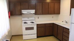 wsu apartments steptoe village two