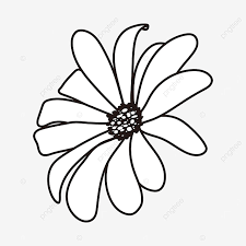White, background, black, pattern, flower, doodle, transparent background flower doodle, patterns pencil, draw patterns, pencil drawings beautiful patterns, it is required to give attribution , if you use this image on your website: Chrysanthemum Daisy Flower Clipart Black And White Flower Clipart Black And White Flat Line Png And Vector With Transparent Background For Free Download