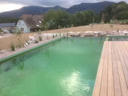 Piscine Naturelle Bassin A Kois A Obernai Aquatech Paysages