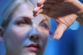 Funding Opportunities