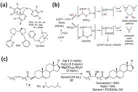 Processes Free Full Text Iron Based Catalytically Active Complexes In Preparation Of Functional Materials Html