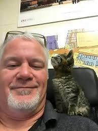 Man Saves Kitten Glued to the Road, Sparks Discussion