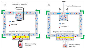 Süper lig ve tff 1. Tff Based Ultra Filtration In A Concentration Mode And B Download Scientific Diagram