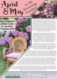April And May In The Flowering Garden Tallahassee Esposito Zinnias Garden Center Garden