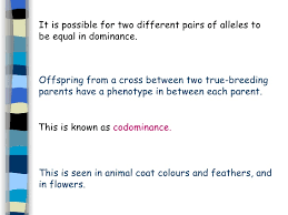 Both codominant alleles are shown with upper case letters in genetic diagrams, but. 7 Genetics And Inheritance