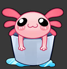 Picture collage mood pics cute animals cute wallpapers cute frogs minecraft wallpaper axolotl minecraft pictures cute. I Made A Little Gif Of A Cute Axolotl In A Bucket Minecraft