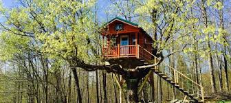 Alibaba.com offers 1820 tree house ladders products. How To Build A Treehouse Diy Tips Cost Guide Earlyexperts