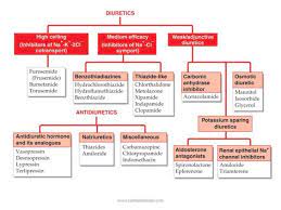 Pin By N Bhargavi Sai Krishna On Health Education Pharmacology Nursing Medical School Studying Medical Knowledge