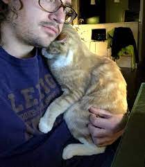 This Young Man Got A Kitty Out Of The Shelter And Into His Loving Home The Kitty Returned The Favor By Hugging Him Everyday Like It S His La Animal Welfare Society