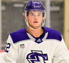 Nolan Roed