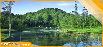 Harga tiket masuk ranca upas ? Harga Tiket Masuk Ranca Upas Ciwidey Bandung Januari 2019 Update