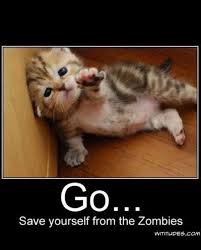 They're also endowed with emotions, feelings and the ability to have fun. Pin On My Alaina