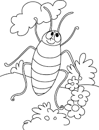 Find all the coloring pages you want organized by topic and lots of other kids crafts and kids check out our free printable coloring pages organized by category. Free Printable Cockroach Coloring Pages For Kids