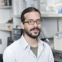 The Zhirong Bao Lab: Lab Members