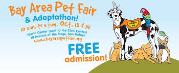 Welcome to california bay area german shepherd rescue website! Bay Area Pet Fair Rocket Dog Rescue