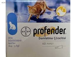 Hayvanlar Alemi Bakim Urunleri Kedi Genel Bakim Kedi Hayvanlar Alemi Kedi Kopek