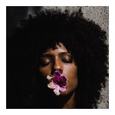 blog — Milly's Kitchen