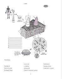 Compact bone also called cortical bone dense bone in which the bony matrix is solidly filled with organic ground substance and inorganic salts leaving only tiny spaces lacunae that contain the osteocytes or bone cells. Solved Label Wedge Of Compact Bone 2 2 3 6 8 9 10 Th Chegg Com