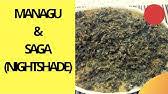 In luo it called dek. How To Cook Kenyan Kienyeji Vegetable Mboga Ya Kienyeji Saga Recipe With Simple Ingredients Youtube