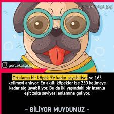 5 727 begenme 17 yorum instagram da oha diyecegin bilgiler gercekbilgi jpg bu tarz paylasimlarin devami icin si bilgi alintilari bilgi gizli bilgi