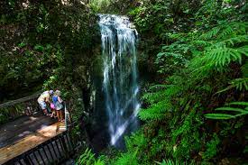 Three natural waterfalls in florida you can visit: You D Never Guess This Waterfall Was In Florida