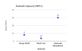 Grey Wolf Speed Unit 2 Project