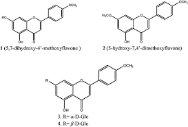 Image result for Clerodendrum formicarum