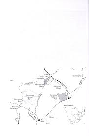 Image result for Mildbraedia carpinifolia