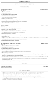 energy analyst resume sample mintresume