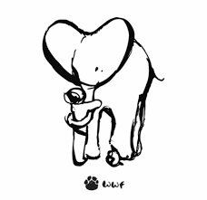 I always feel a quiet surge of excitement that i can share these drawings here. Hello I Hope You Re All Ok I Made A T Charlie Mackesy Facebook