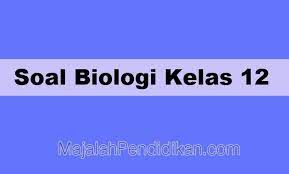 Check spelling or type a new query. Soal Biologi Kelas 12 Sma Smk Ma 2021 Dan Kunci Jawabannya