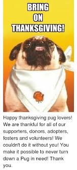 Foster clan thanksgiving 2010 anthony & chelle's house in fresno ca. Bring On Thanksgiving Happy Thanksgiving Pug Lovers We Are Thankful For All Of Our Supporters Donors Adopters Fosters And Volunteers We Couldn T Do It Without You You Make It Possible To Never