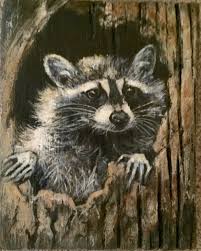 Raccoon Acrylic On Barn Wood Animal Paintings Raccoon Art Animal Art