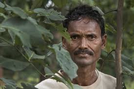 La battaglia dei Gond contro il carbone