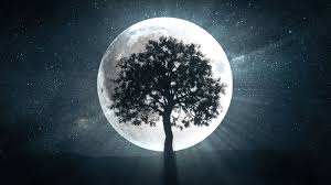 Que sont les rituels de pleine lune ? - Comment créer un rituel de pleine lune pour améliorer votre année