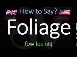 Here are all the possible pronunciations of the word foliage. How To Pronounce Foliage Correctly Meaning Pronunciation Youtube