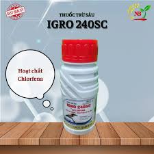 Igro 240SC