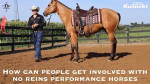 How To Get Involved With No Reins Performance Horses
