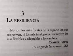 Maybe you would like to learn more about one of these? Resiliencia Frases Curativas Frases Bonitas Frases Motivadoras