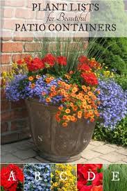 Plant Lists For Beautiful Patio Containers Image By Proven Winners Containergarden Porch Flowers Plants Patio Flowers
