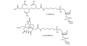 A modification is a change to a plan set in which the permit has been issued or reissued. Biomers Net Chelate Complex Modifications Biomers Net Oligonucleotides