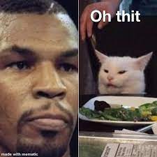 Pin By Jenafur On Smudge The Cat Memes Funny Cat Memes Haha Funny Funny Cartoons