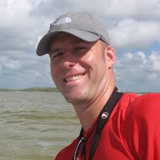 What natural objects and organisms are strong reflectors of ultraviolet  light?