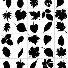 Pin By Serenity Greenhouse On Concepts Leaf Silhouette Silhouette Art Silhouette Free