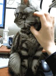 Share the best gifs now >>>. No Thank You Downvote Gif Gif On Imgur