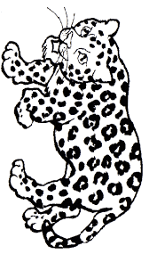 This is one of the cute baby jaguar coloring pages. Jaguar Coloring Page Animals Town Animal Color Sheets Jaguar Picture