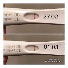 Pregnancy Test Progression Photos Pregnancy Test